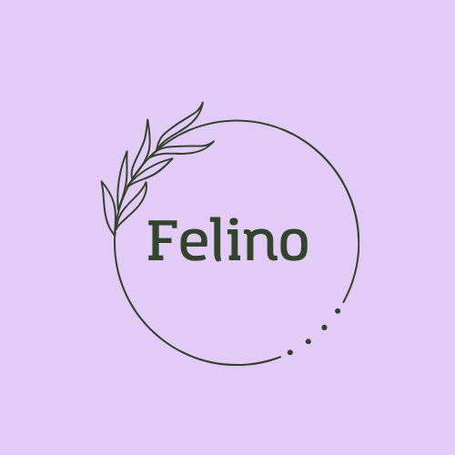 Felino.no
