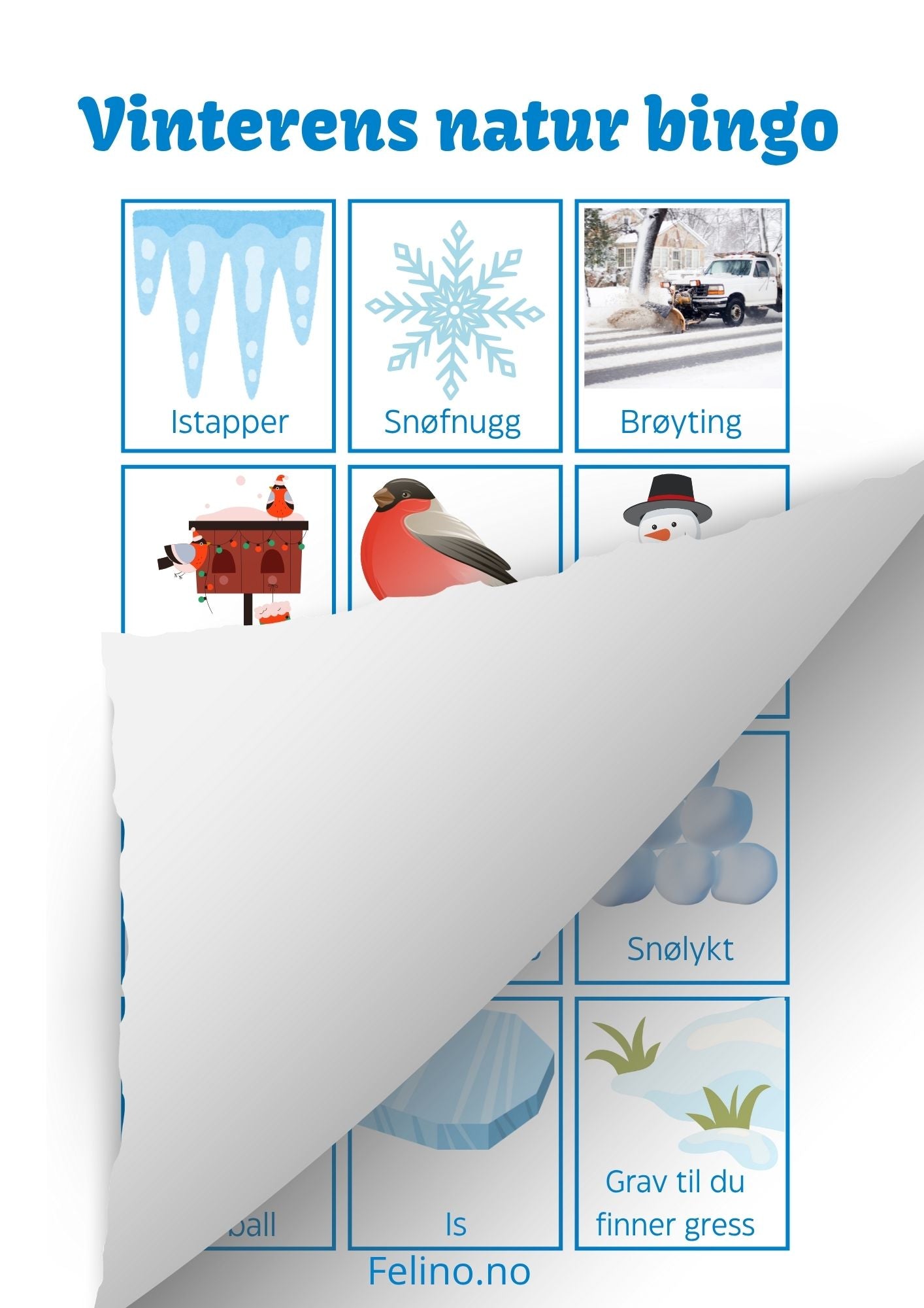 Vinterens natur bingo